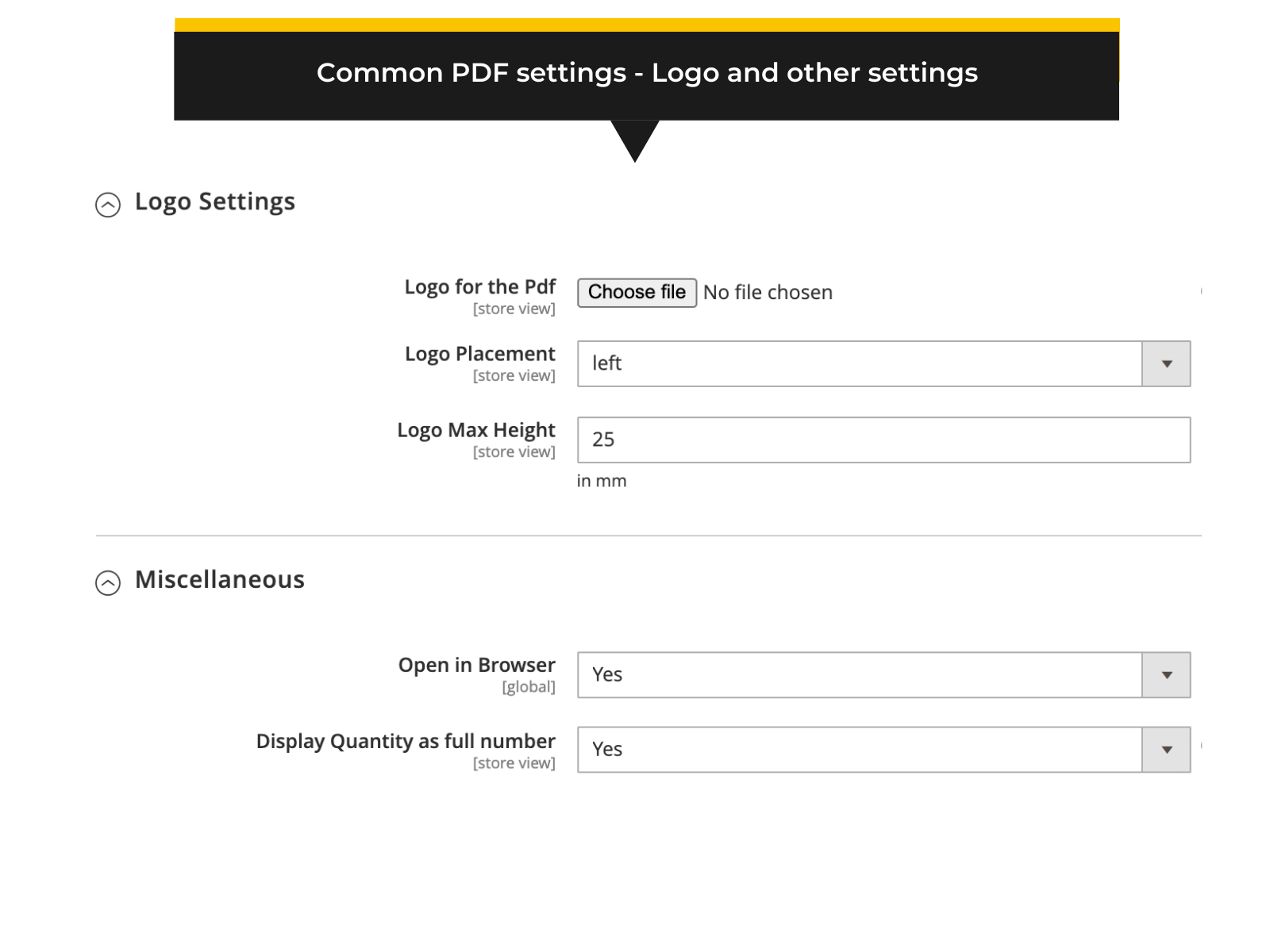 Magento 2 backend - Common PDF settings (Thumbnail)