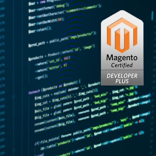 Payment Surcharge Magento 2 extension